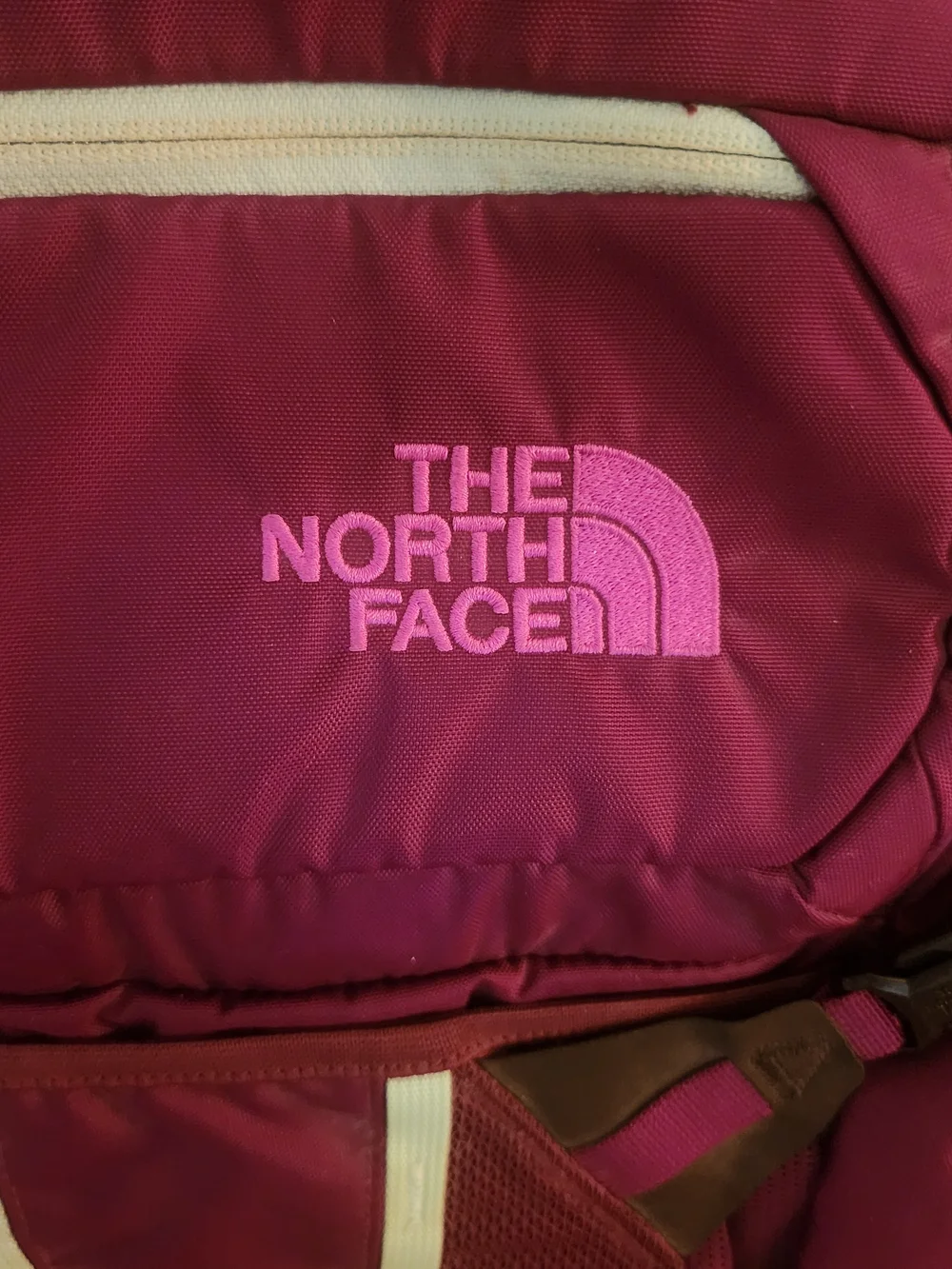 The North Face Purple Backpack - Women's/Unisex